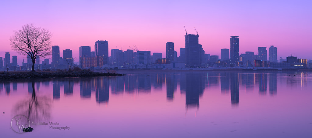 Twilight Purple by Yoshihiko Wada on 500px.com