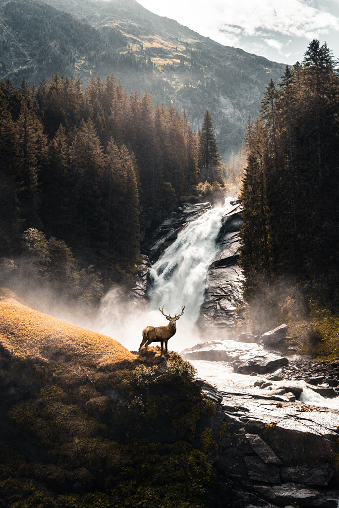 Red deer in front of a waterfall by Lukas Klima on 500px.com