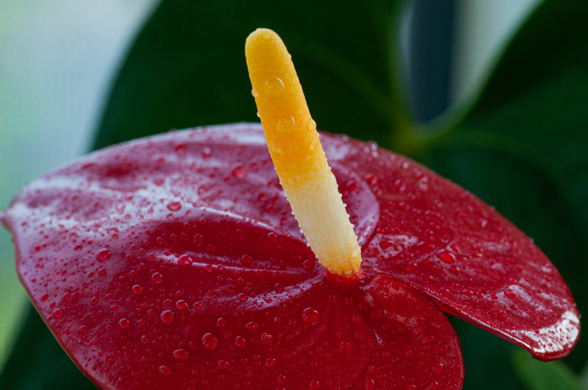 超级塞牙 Vcg Cjsy Profile 500px