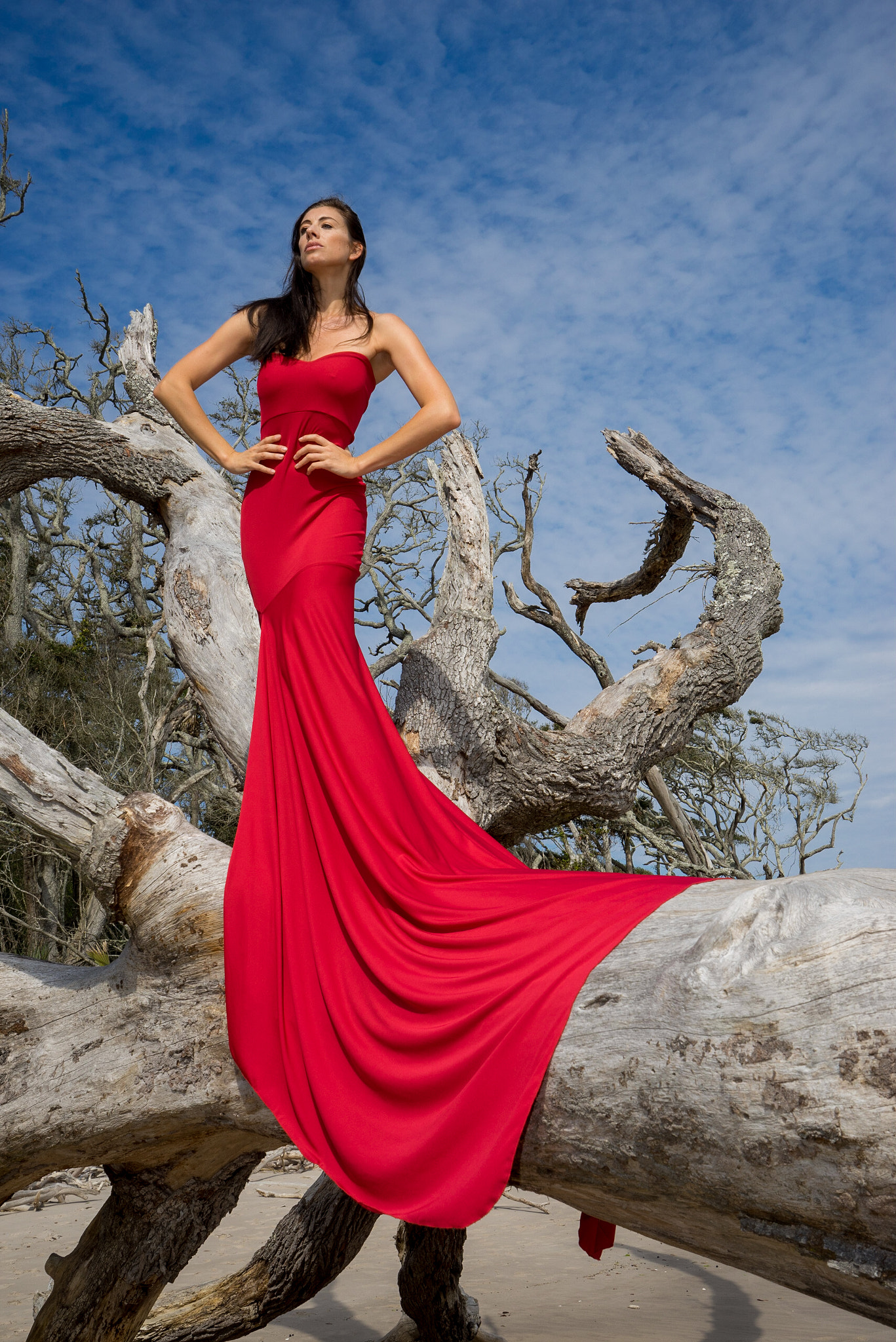 red dress , woman & Drift wood