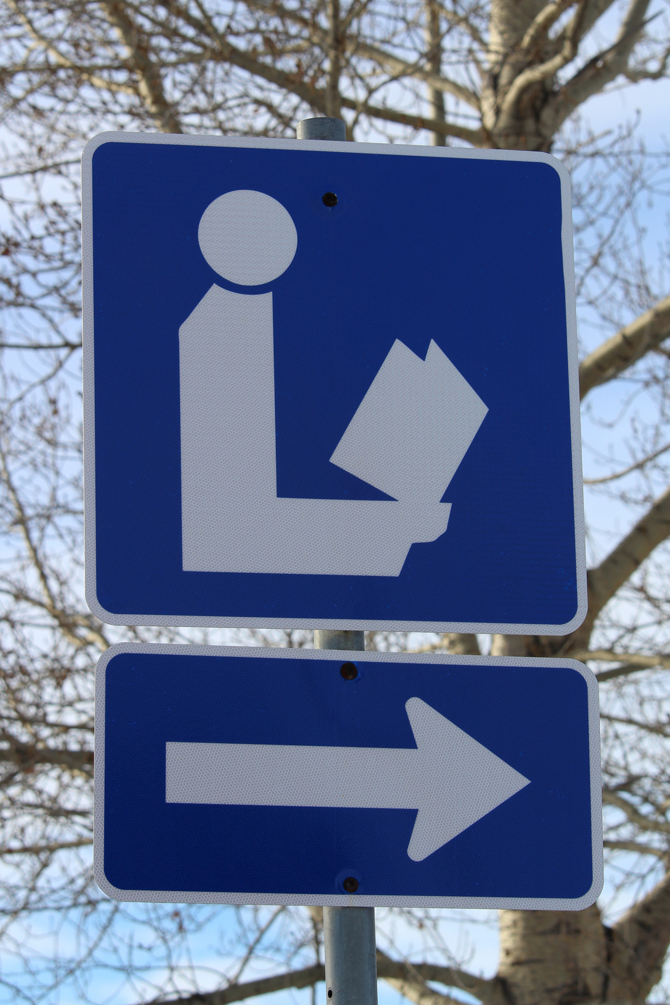 Closeup of Direction to Library Sign with Tree in Background