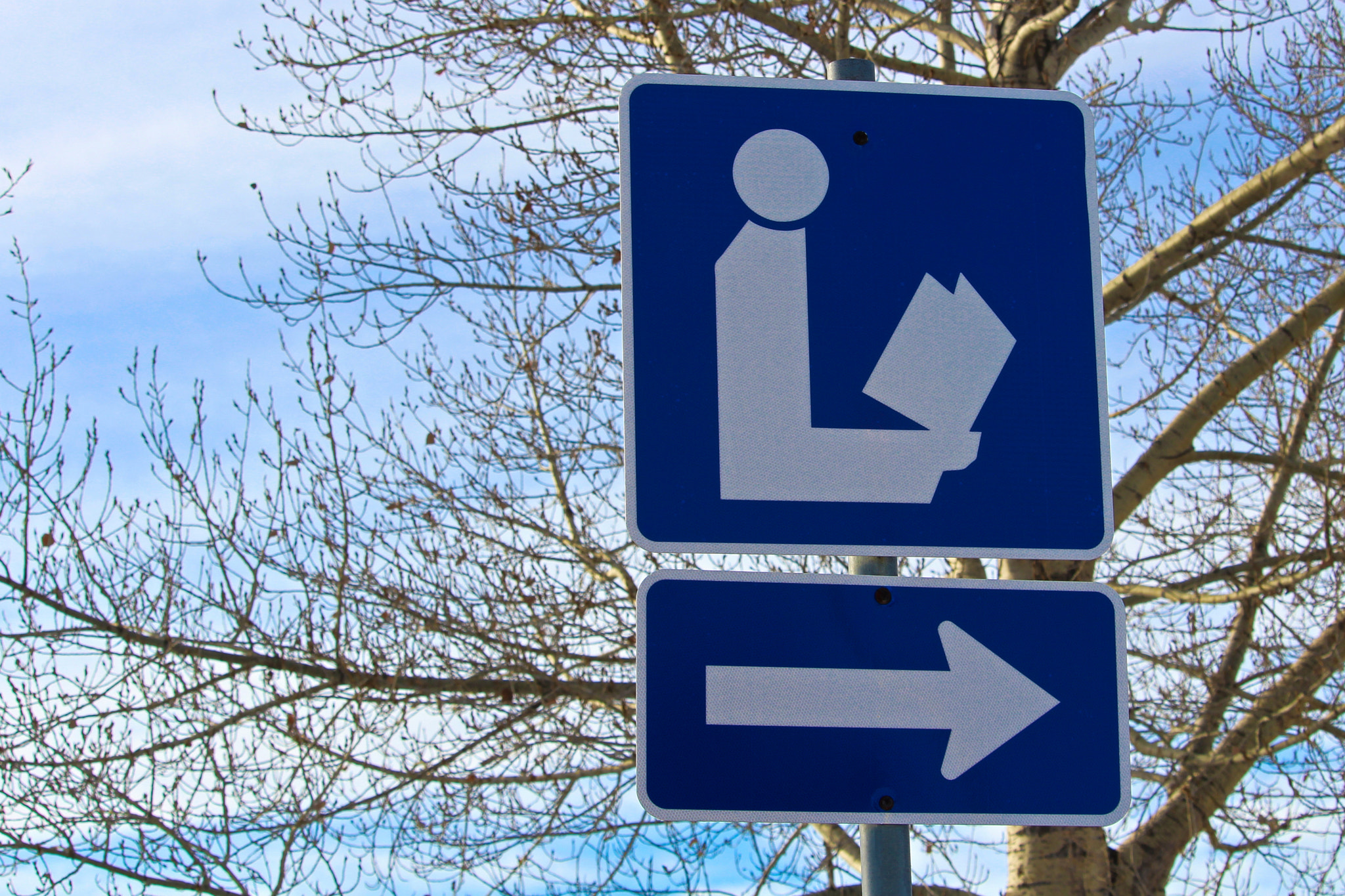 Direction to Library Sign with Tree in Background