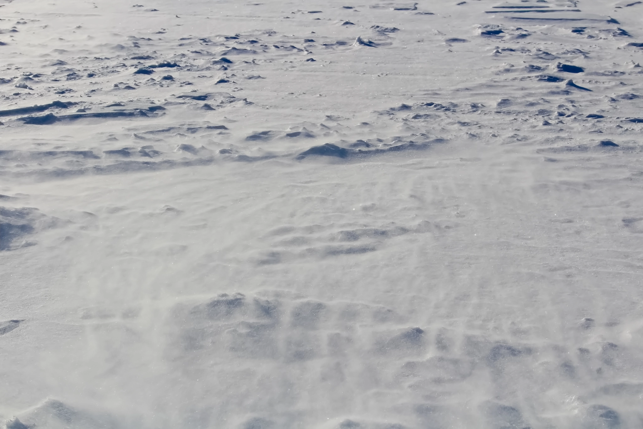 Drifting Snow Creeping Along an Open Field