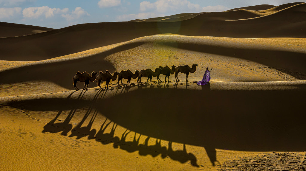 沙漠驼队 by 心翔天地 on 500px.com