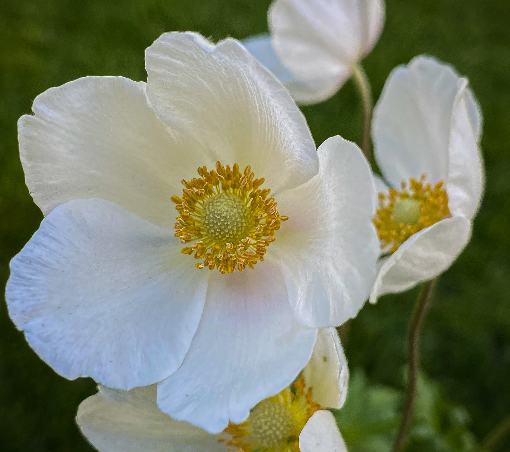 v2?sig=9c0255259925905279636ff3de771a2852955eed70aaad247559e452e492d18e