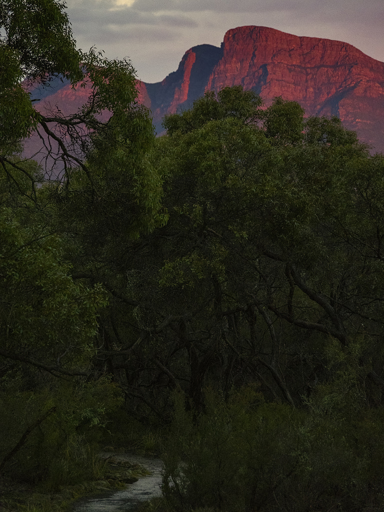 Bluff Knoll by Paul Amyes on 500px.com