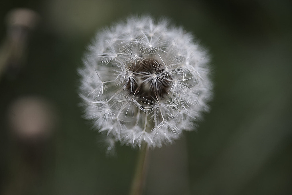 IMAGE: https://drscdn.500px.org/photo/1032248130/m%3D900/v2?sig=4eb79f7d8a5ba72e33cb509613a51f014249899a7a381f630f973003334a80bc