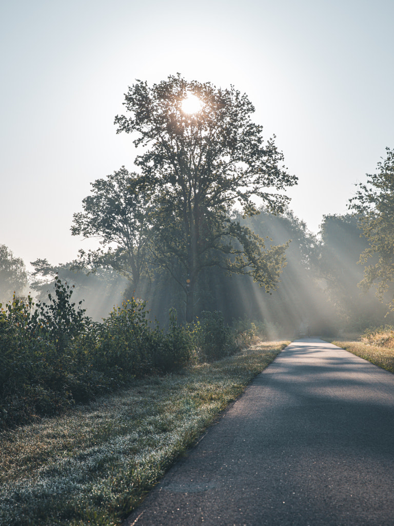 Rise & shine. by Jelle Canipel on 500px.com