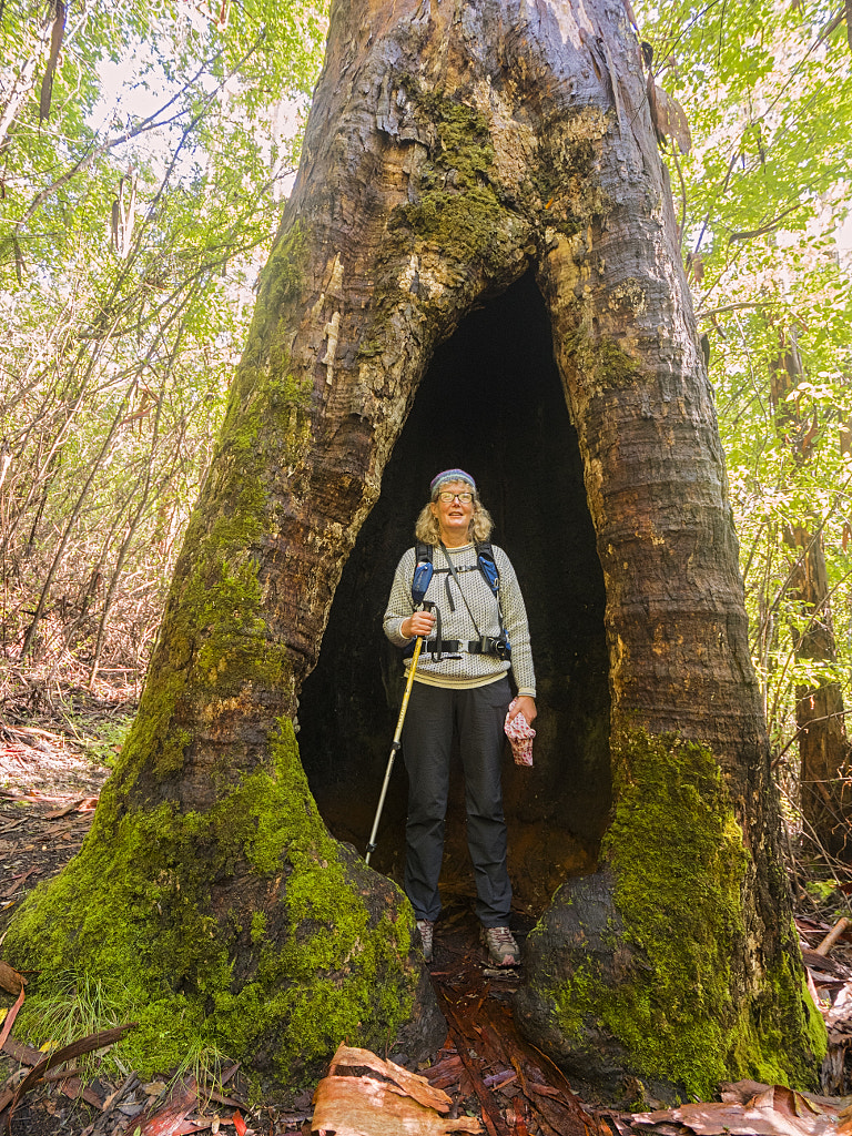 Nancy Peak by Paul Amyes on 500px.com