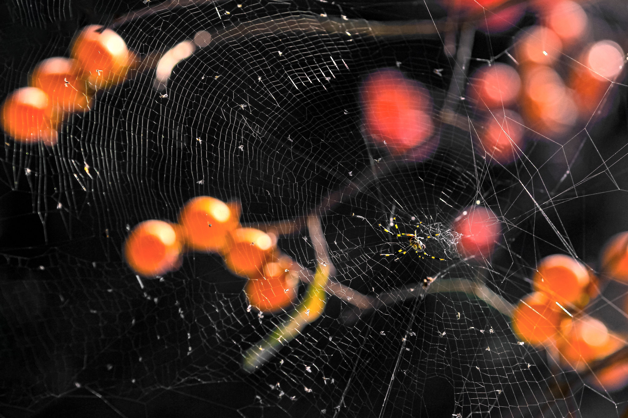 v2?sig=0c0b0e437c4c37c45e2eeaf5b3e933cb15fe52f5b33b51341b4a576b47fdf9df