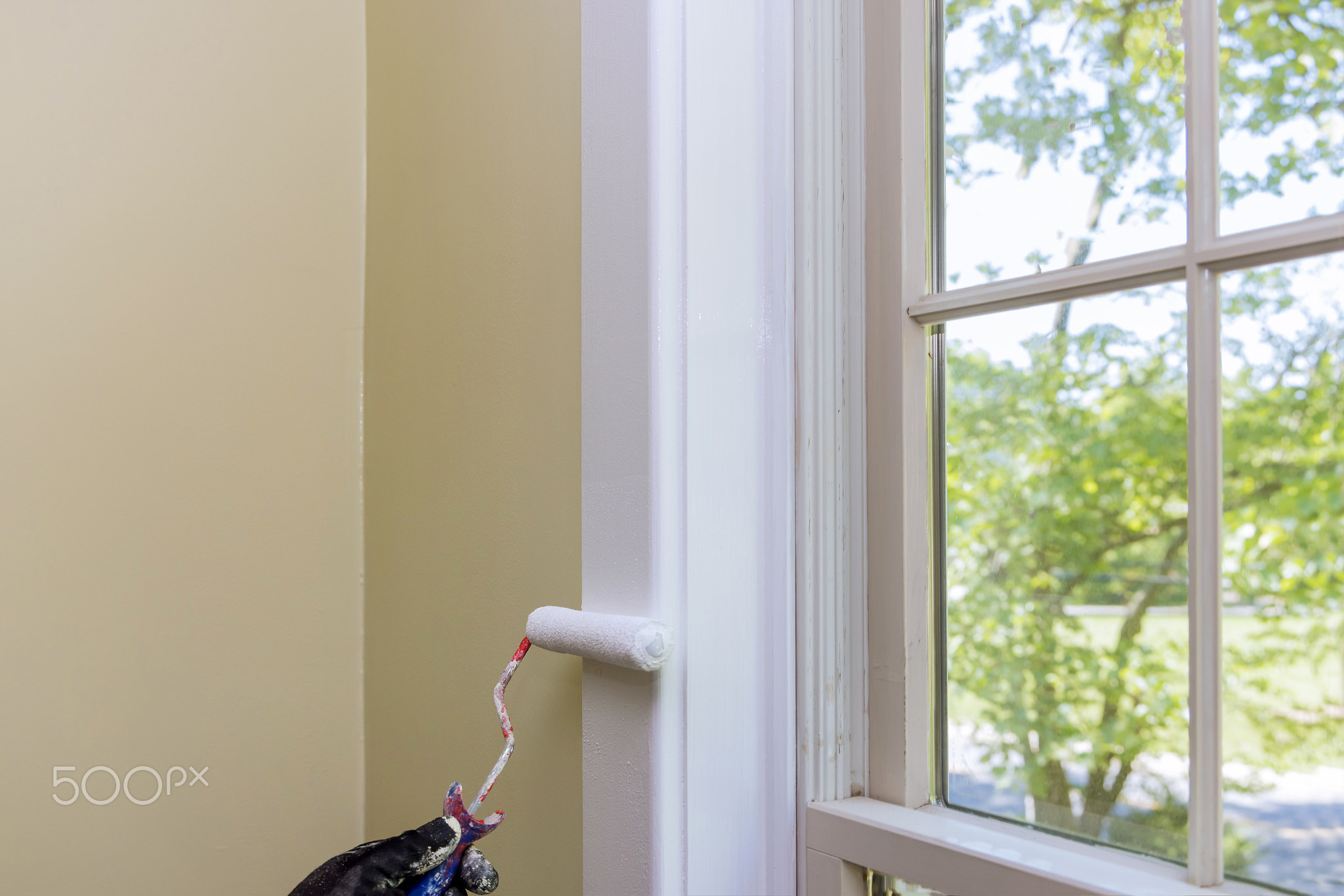 Home restoration worker painting using a paint roller white color a