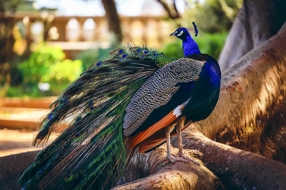 v2?sig=440d2857da1135a3ccef7b1c05d31f6dffe08353596a2002340a5497a05c31e0