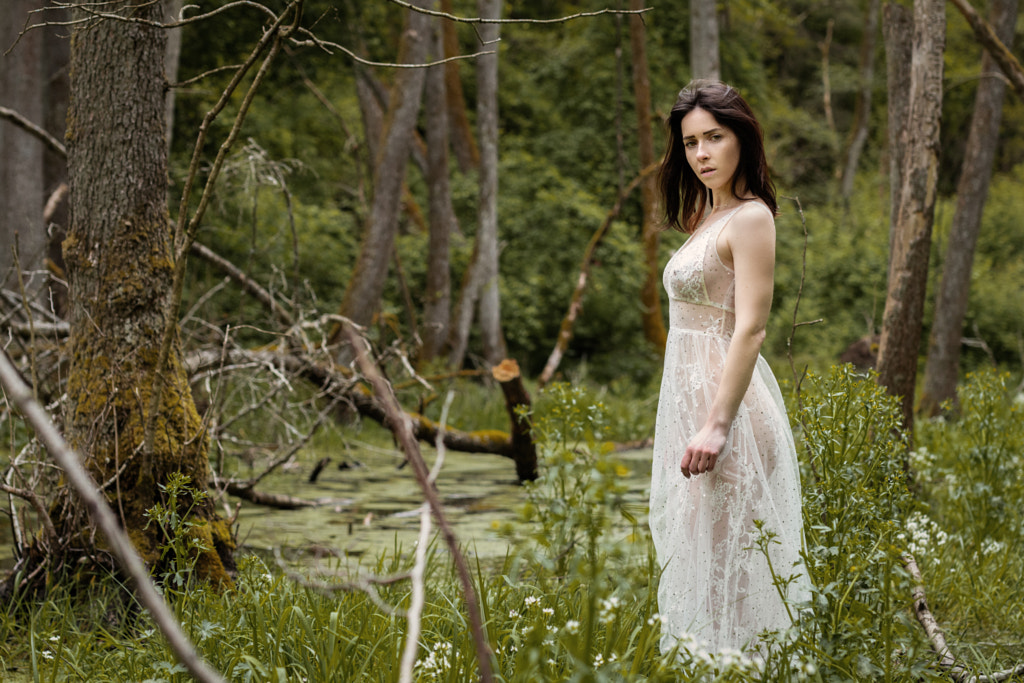 In the wood by Andreas Pokrandt Fotografie on 500px.com