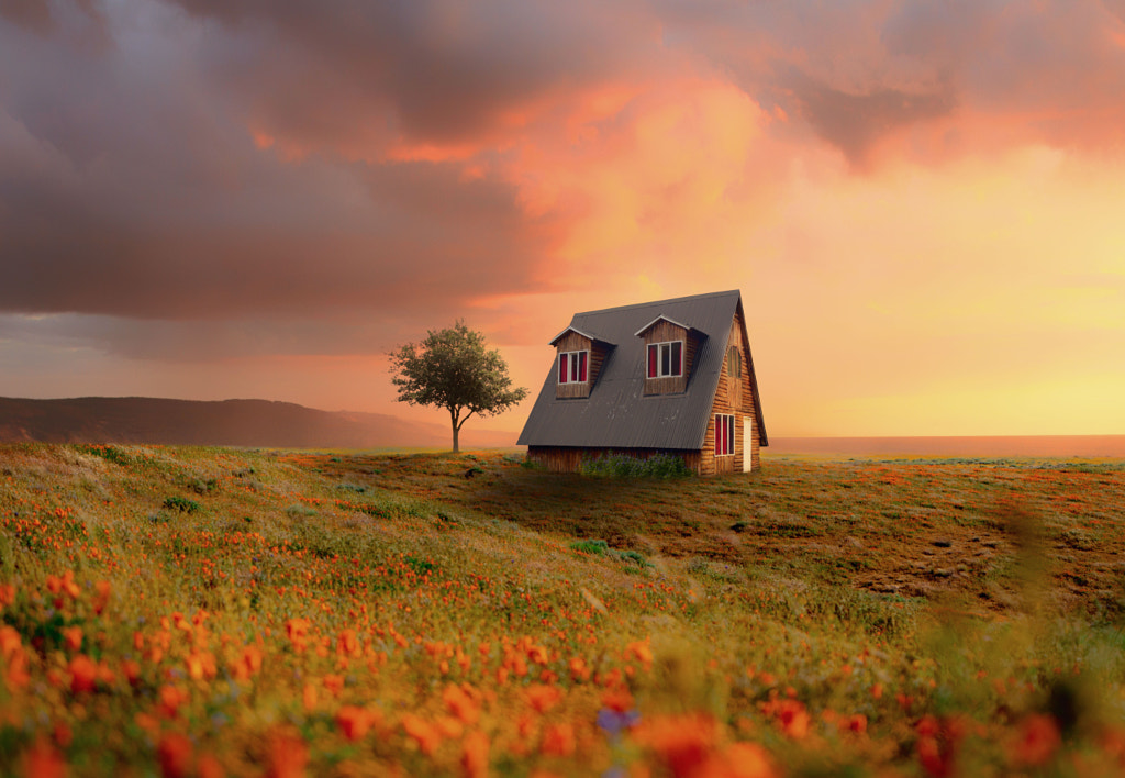 The House of the Rising Sun by Pedro Quintela on 500px.com