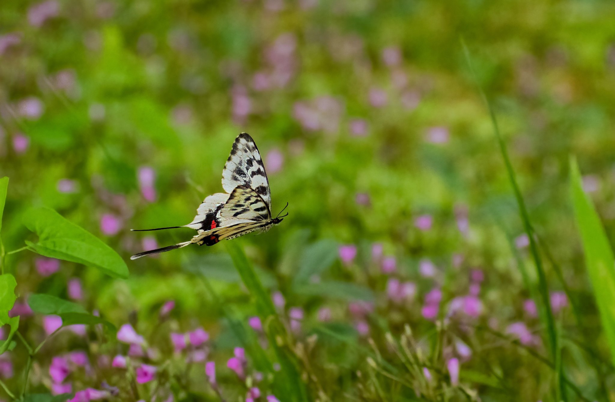 空不异摄 Vcg Ce6ee5cf64f2290acd8403a61ae1c6038 Profile 500px