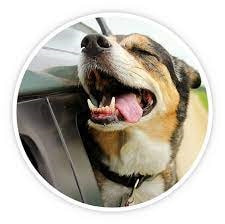 v2?sig=7dc3fe28694aeae1c875074c1bbad66ed2f1acd3f38f27804f86ff4e11e134af