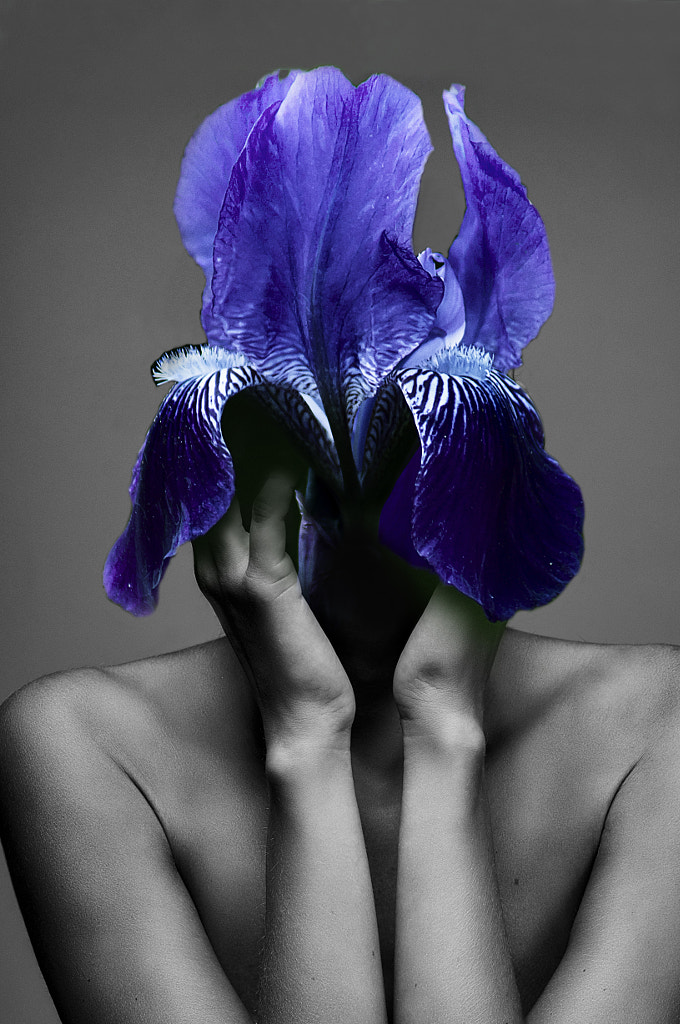 the iris fountain by Alexandr  on 500px.com