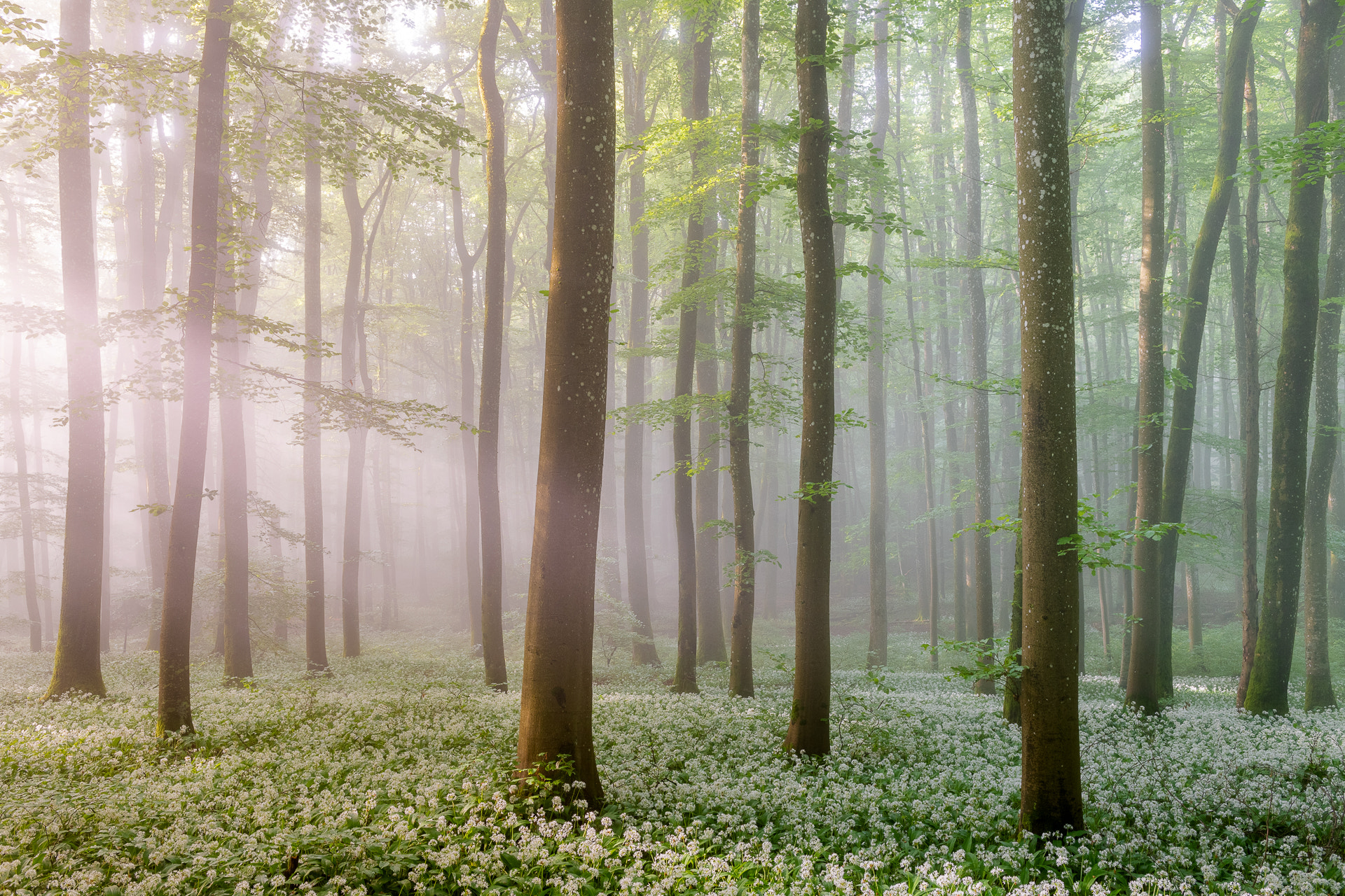 Tobias Ryser Tobiasryser Profile 500px