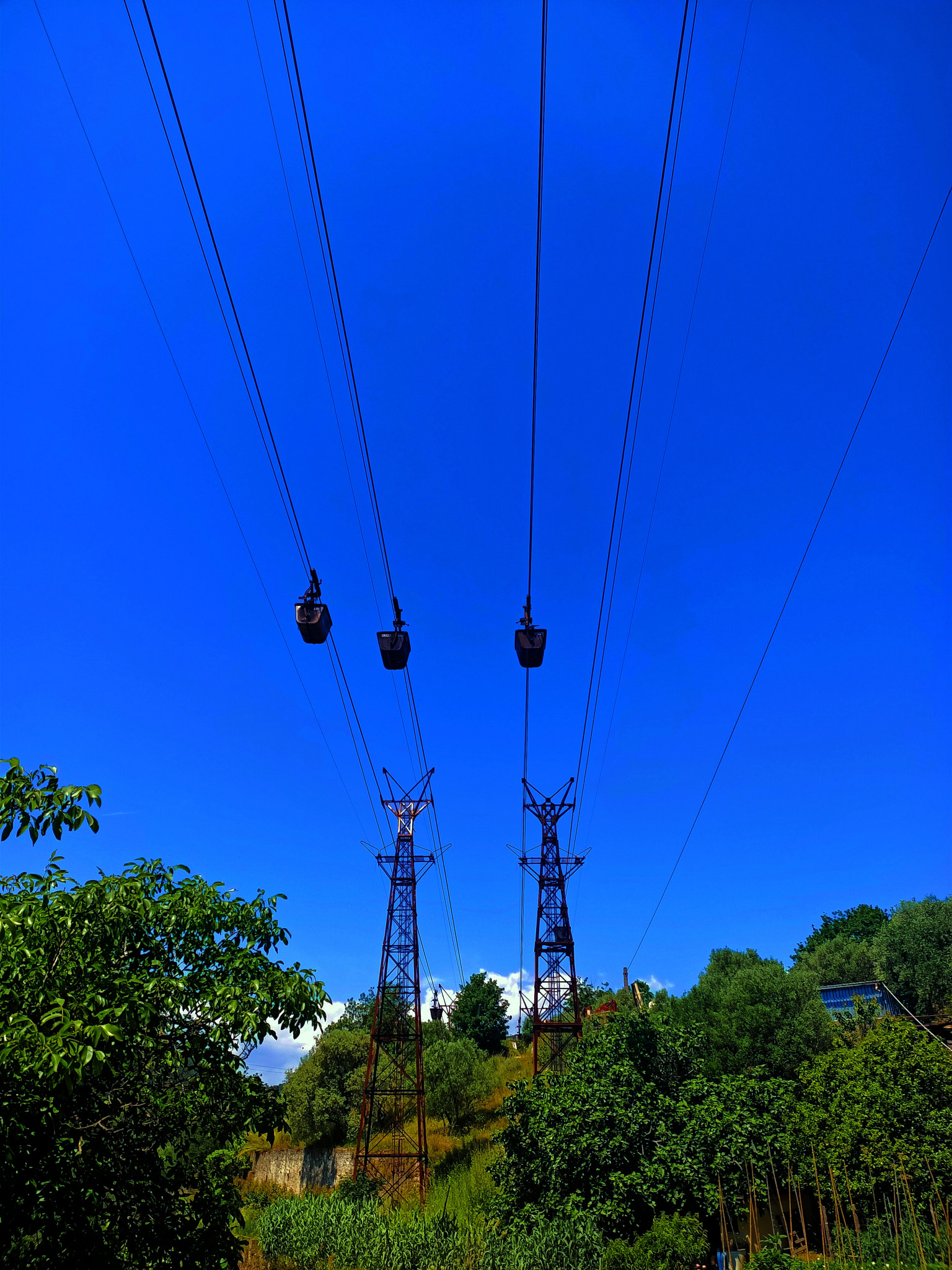 Up in the bluest sky