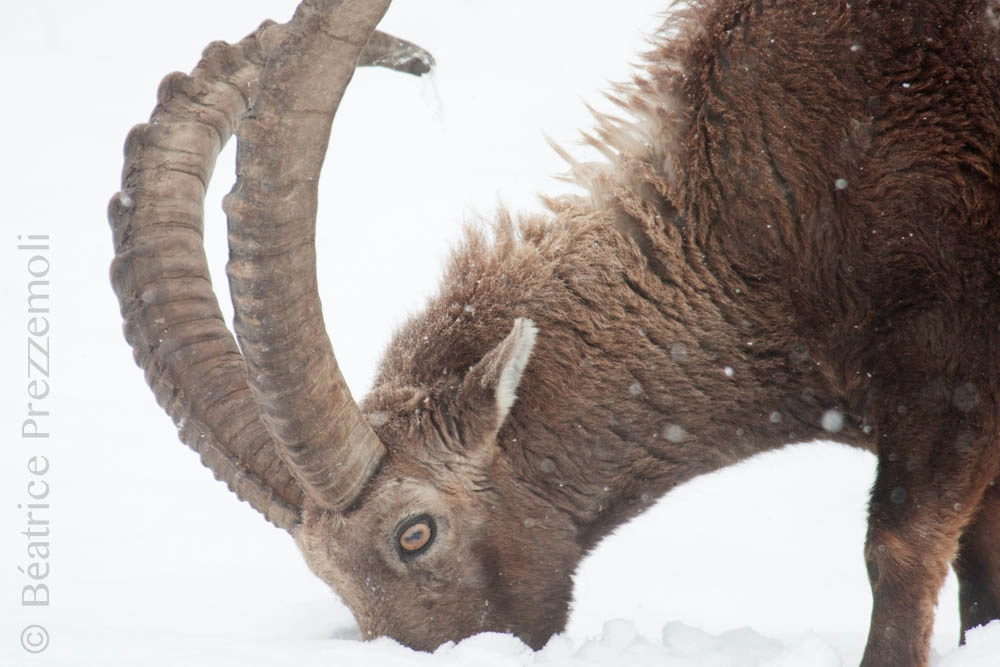 v2?sig=860775d5c5d69484f1c14c4905e62346a3ebbf615f742702be9bf9f069b0465e