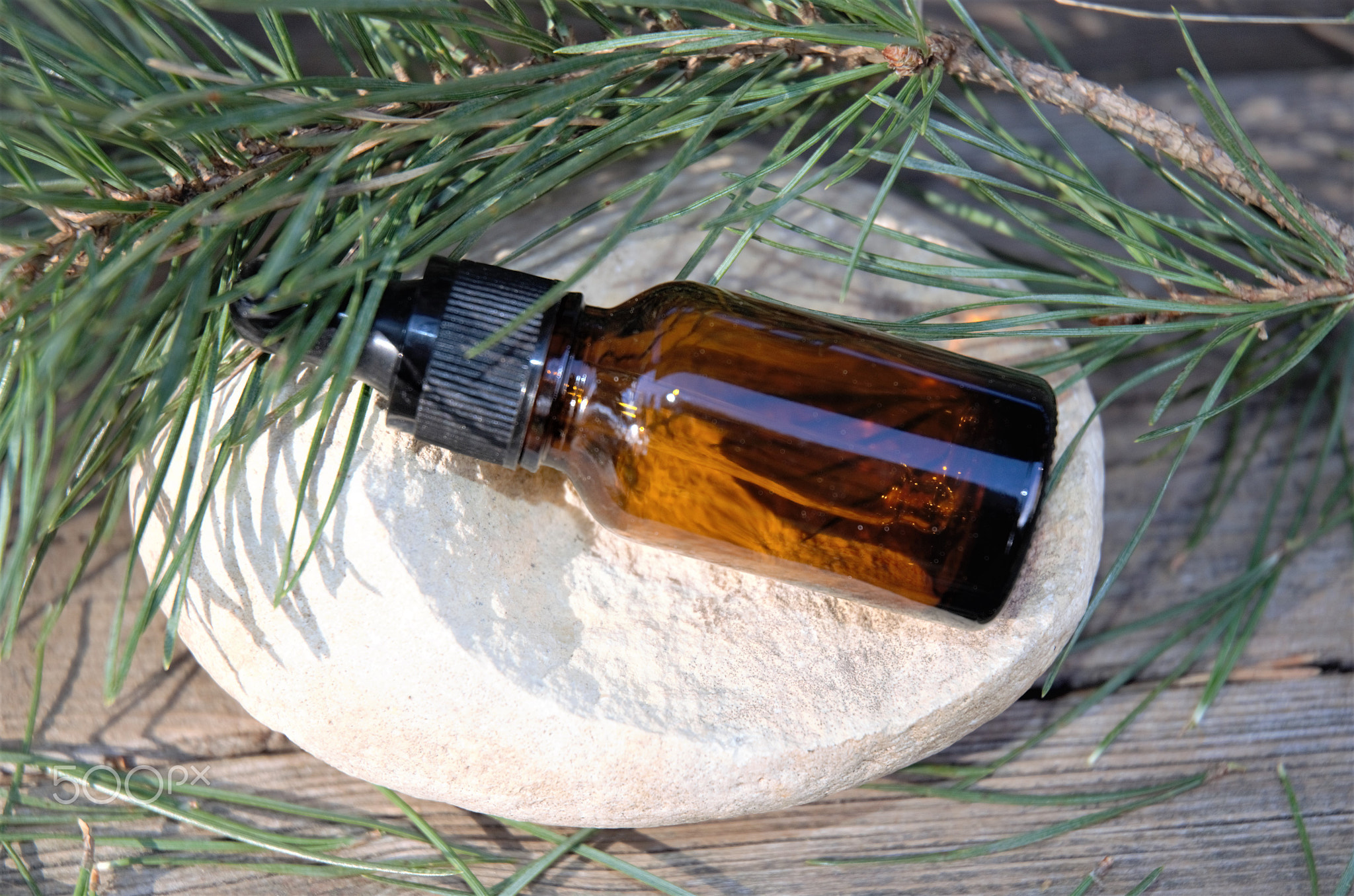 Composition with a bottle, pine twigs on a wooden background, side