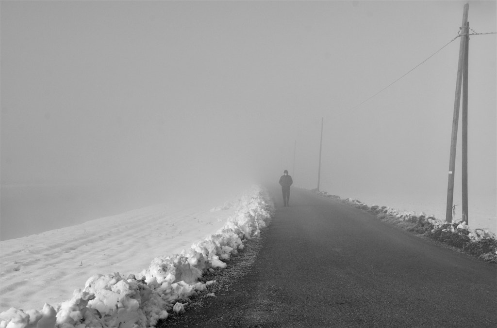 winter walk  by Carlotta  Ricci on 500px.com