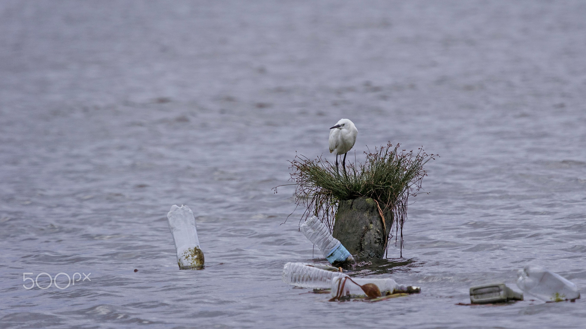 Waste Everywhere!