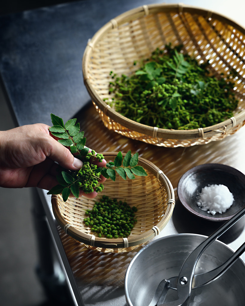 Make salted Japanese pepper by Hidekazu Makiyama on 500px.com