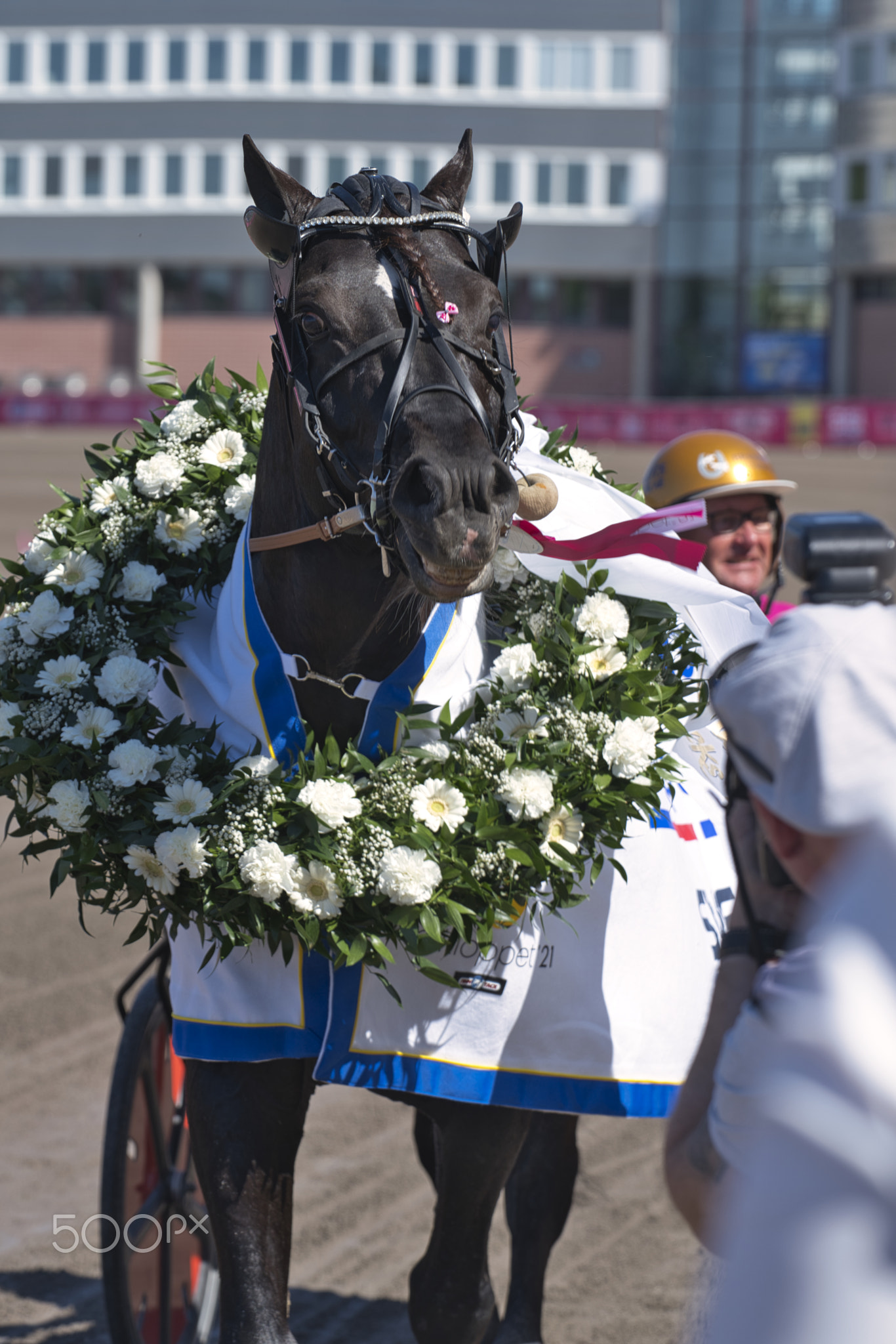 210530 - Elitloppet trotting event