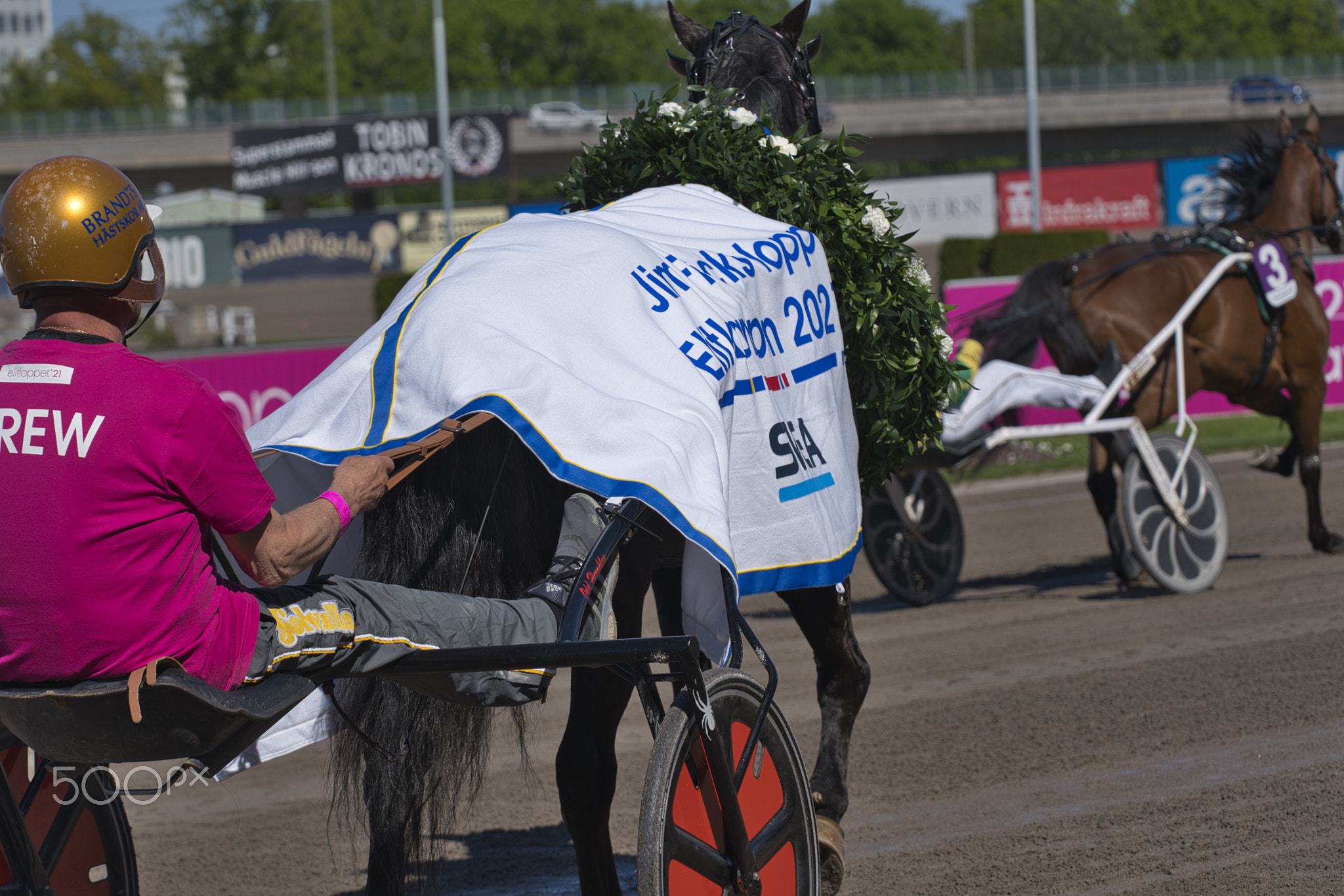 210530 - Elitloppet trotting event