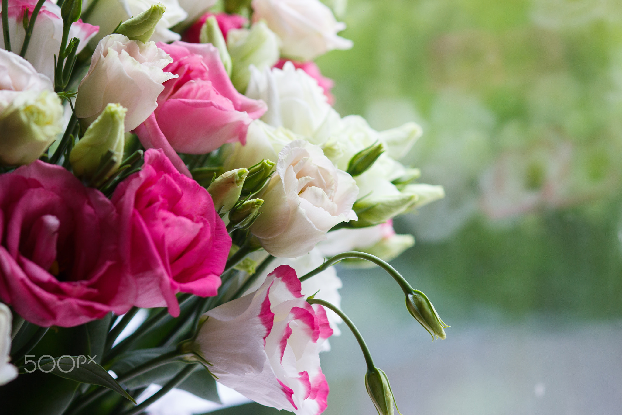 Bouquet from colored flowers of eustoma