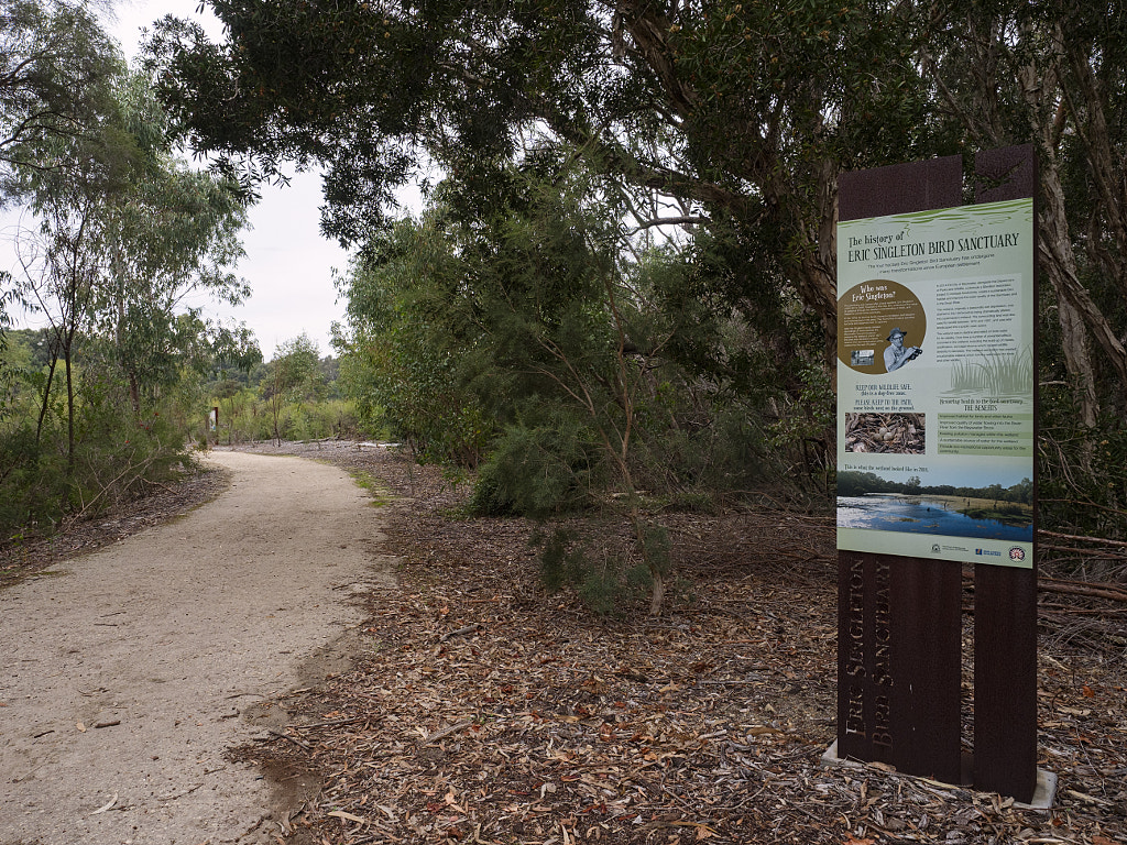 Eric Singleton Bird Sanctuary by Paul Amyes on 500px.com