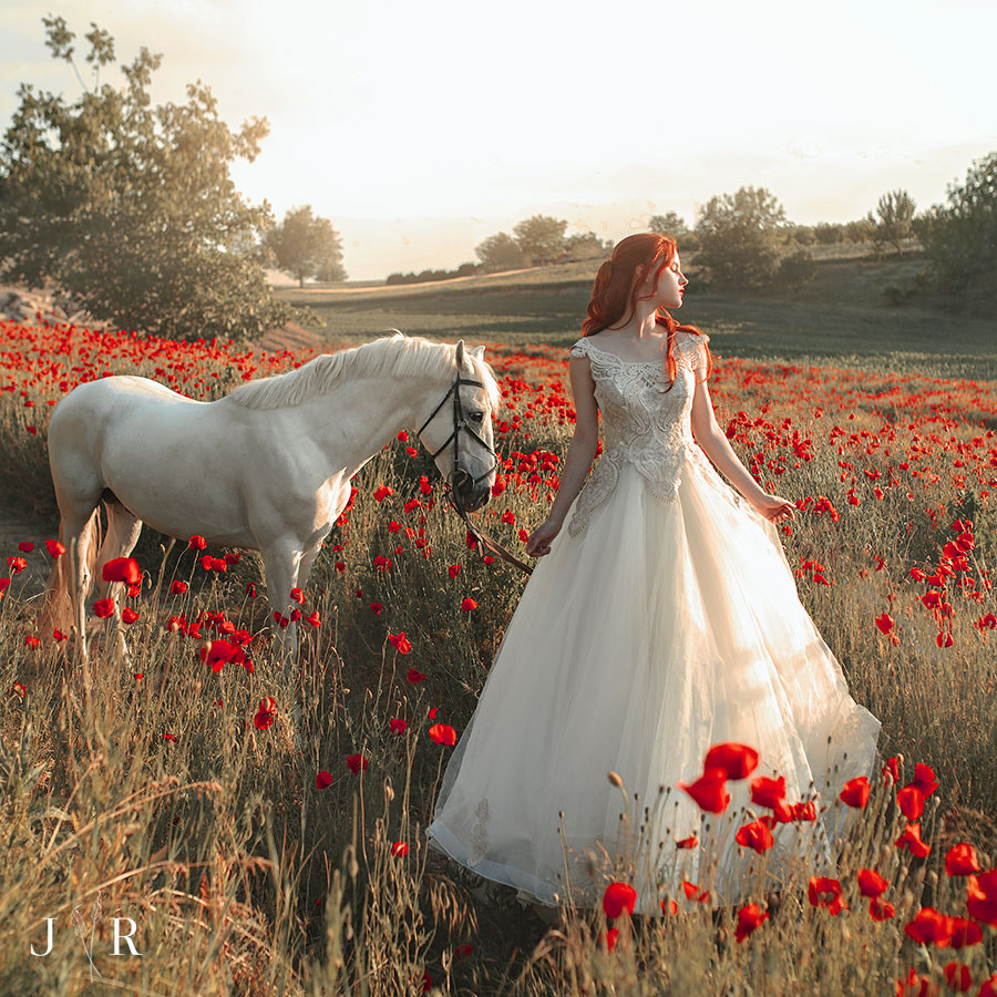 White horse by Jovana Rikalo on 500px.com