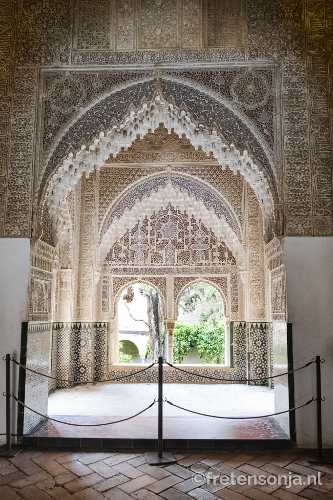 Untitled by www.fretensonja.nl on 500px.com