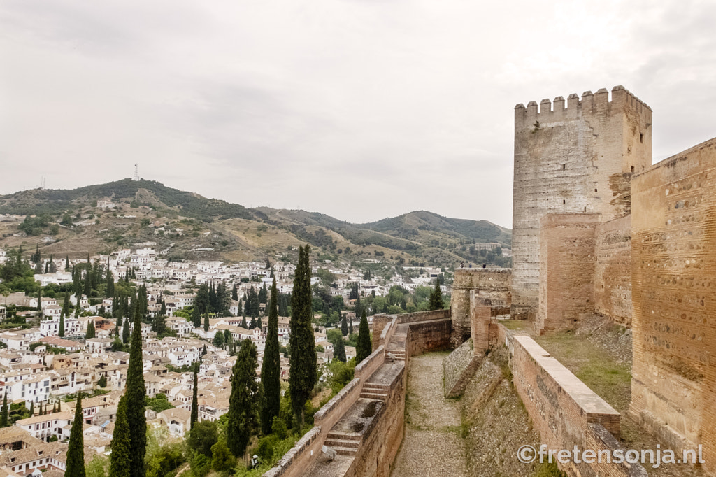 Untitled by www.fretensonja.nl on 500px.com