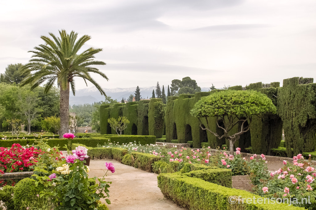 Untitled by www.fretensonja.nl on 500px.com