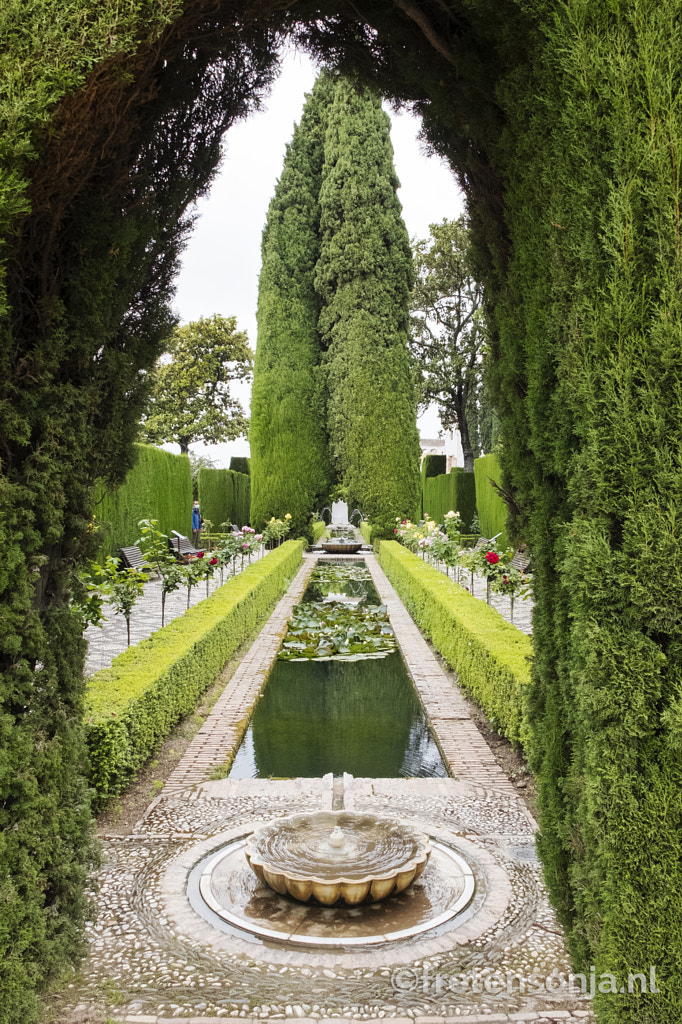 Untitled by www.fretensonja.nl on 500px.com