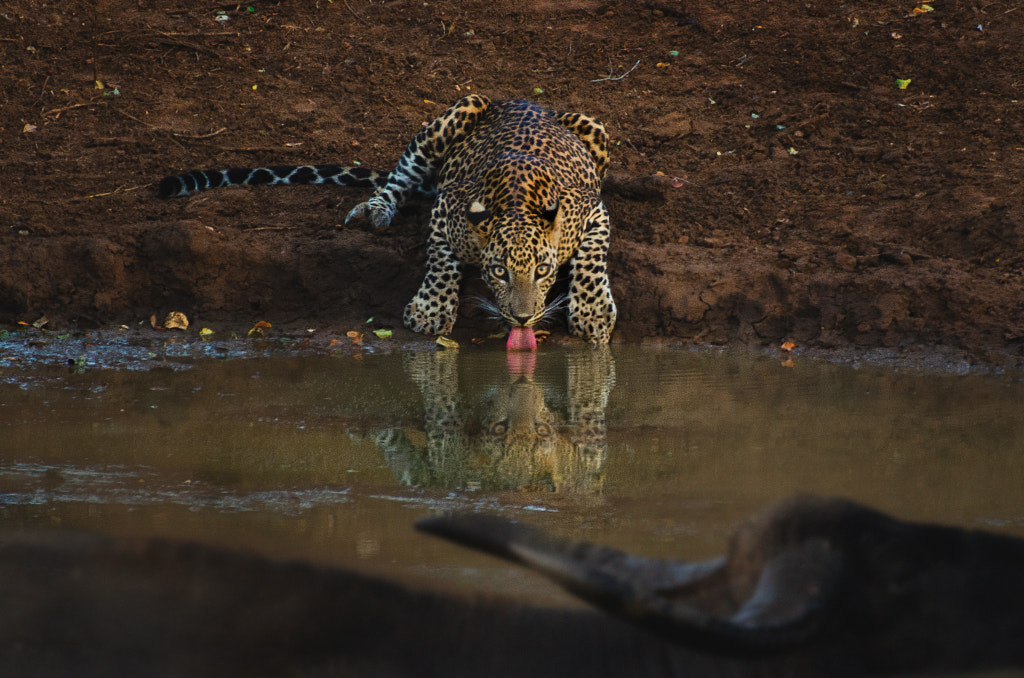 Life is hard by Roshana Prasad on 500px.com