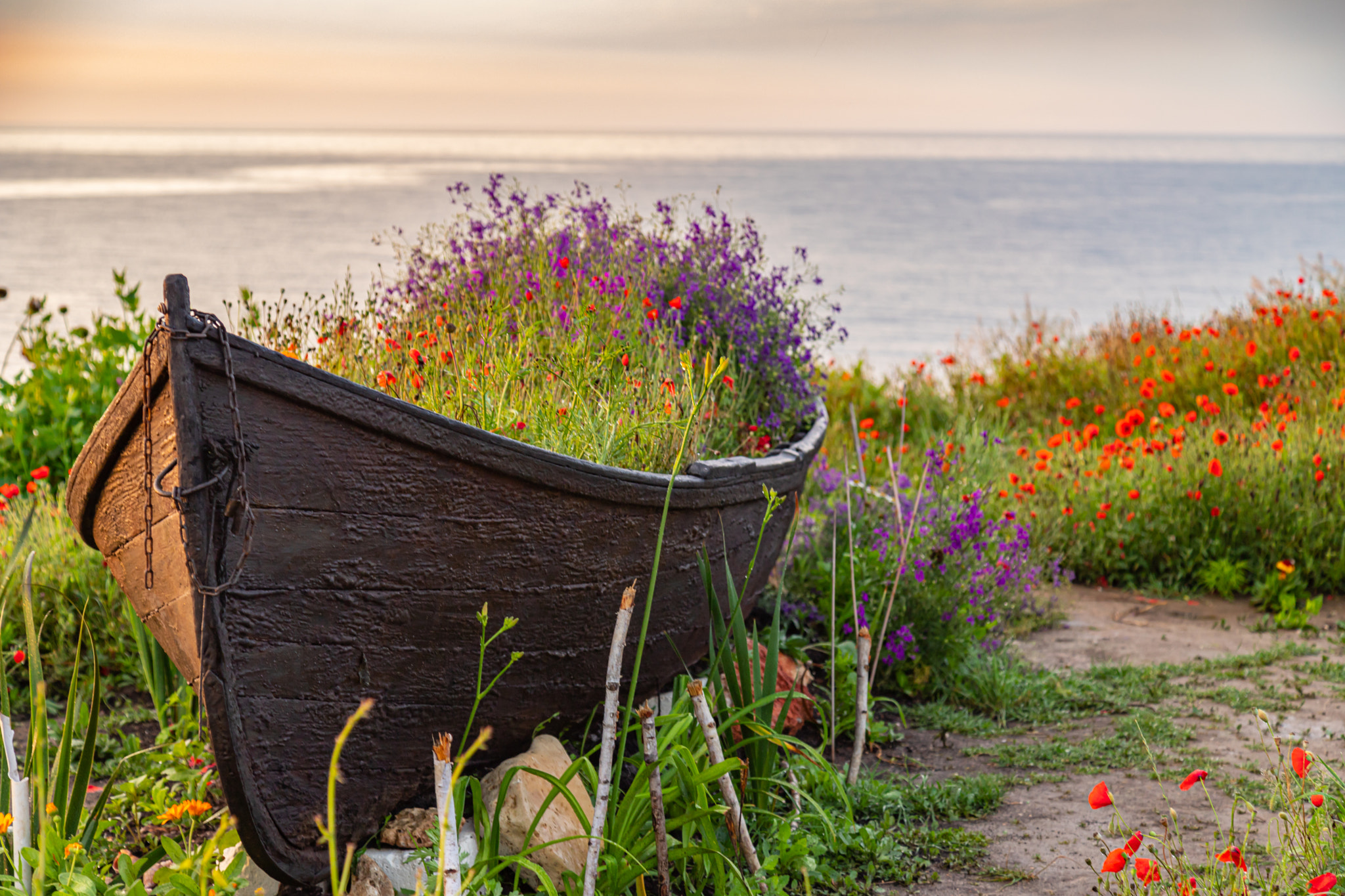 Flower Boat in Vama Veche, România