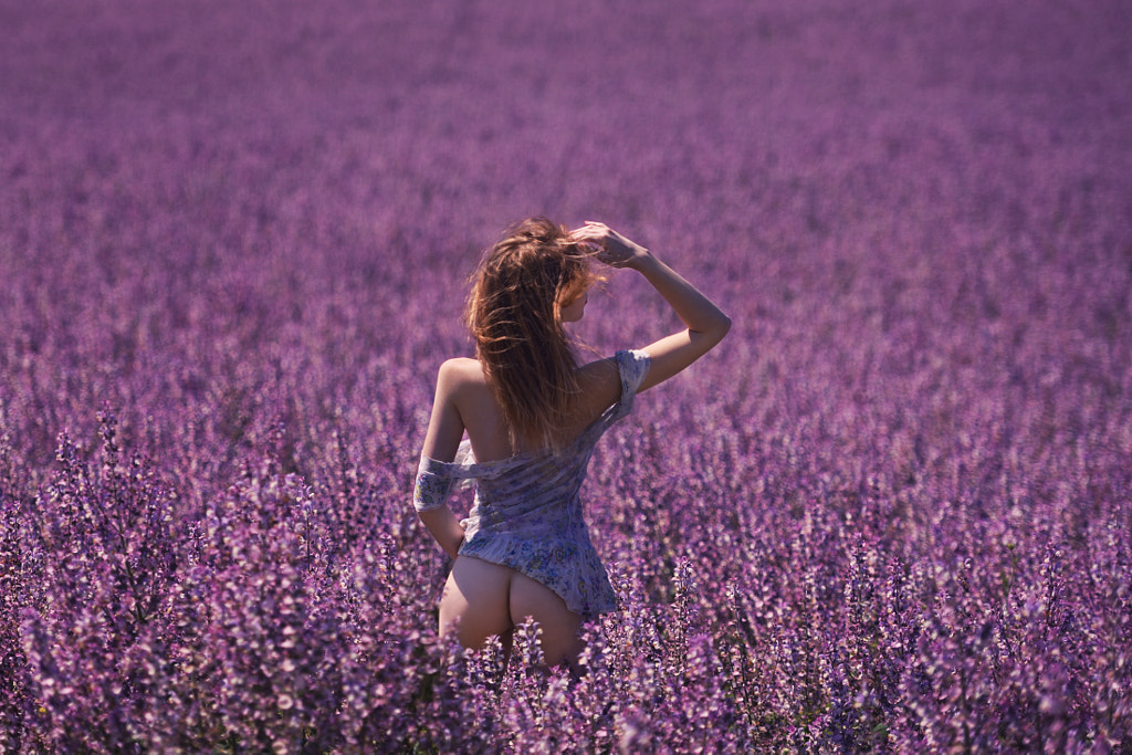 Field  by Igor Viushkin on 500px.com