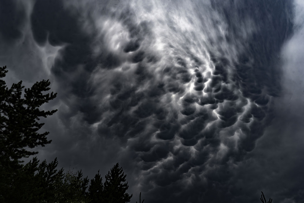 Evening Mammatus Clouds..... by BSondergaardphotography       on 500px.com