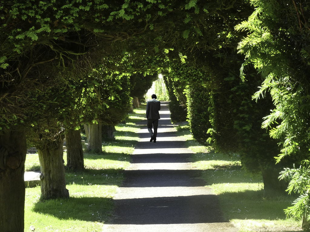 Corridor of Yew Trees at Painswick by Gordon Tweedale on 500px.com