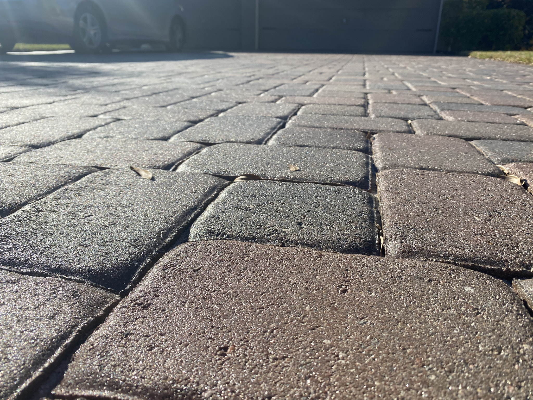 Cleaned & Sealed Pavers
