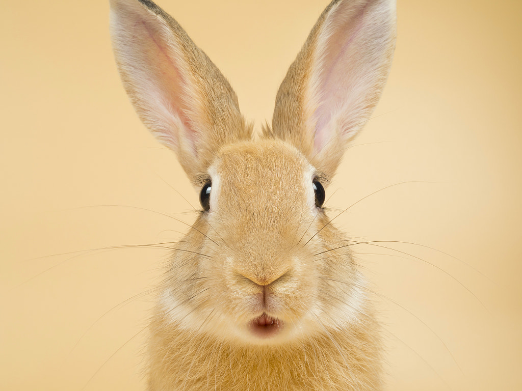 Bebi by Andrés López on 500px.com