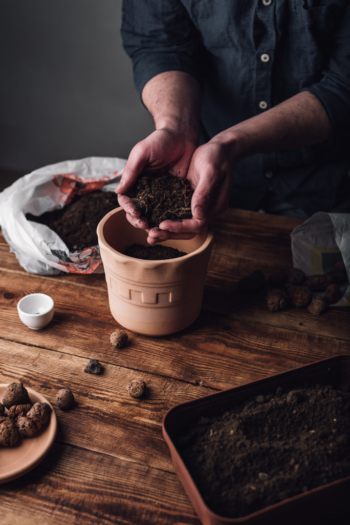 Man Putting Potting Soil into Pot for Sowing Thyme by Vsevolod Belousov on 500px.com