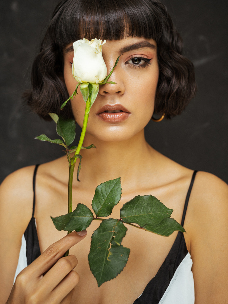 v2?sig=29ce84b8bf5a8f036d2c944ef35377142