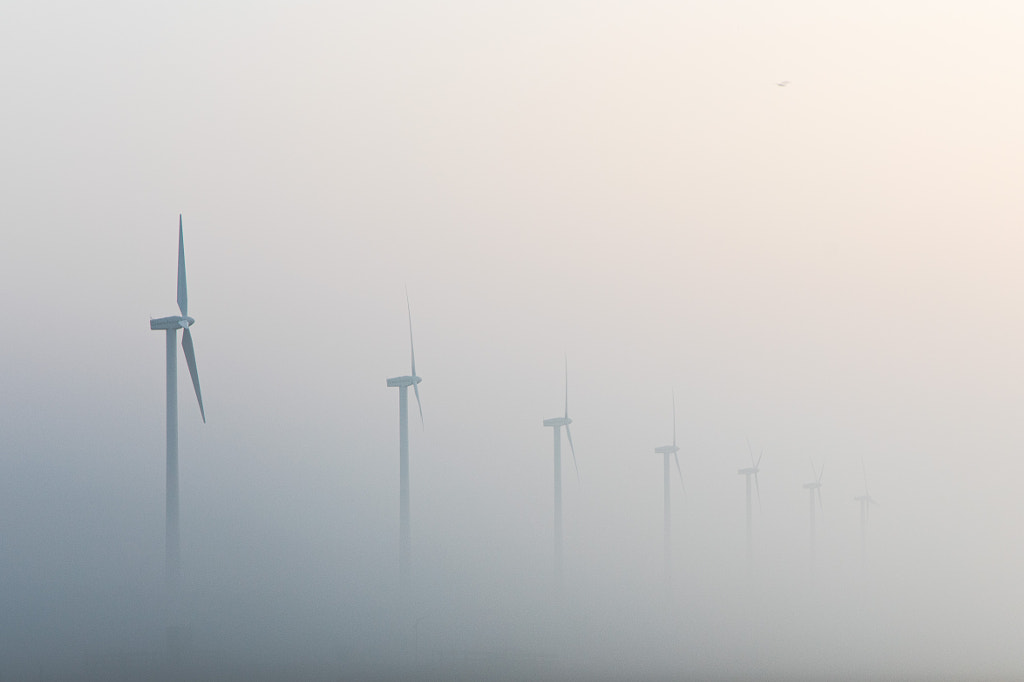 Misty morning by Mike Tesselaar on 500px.com