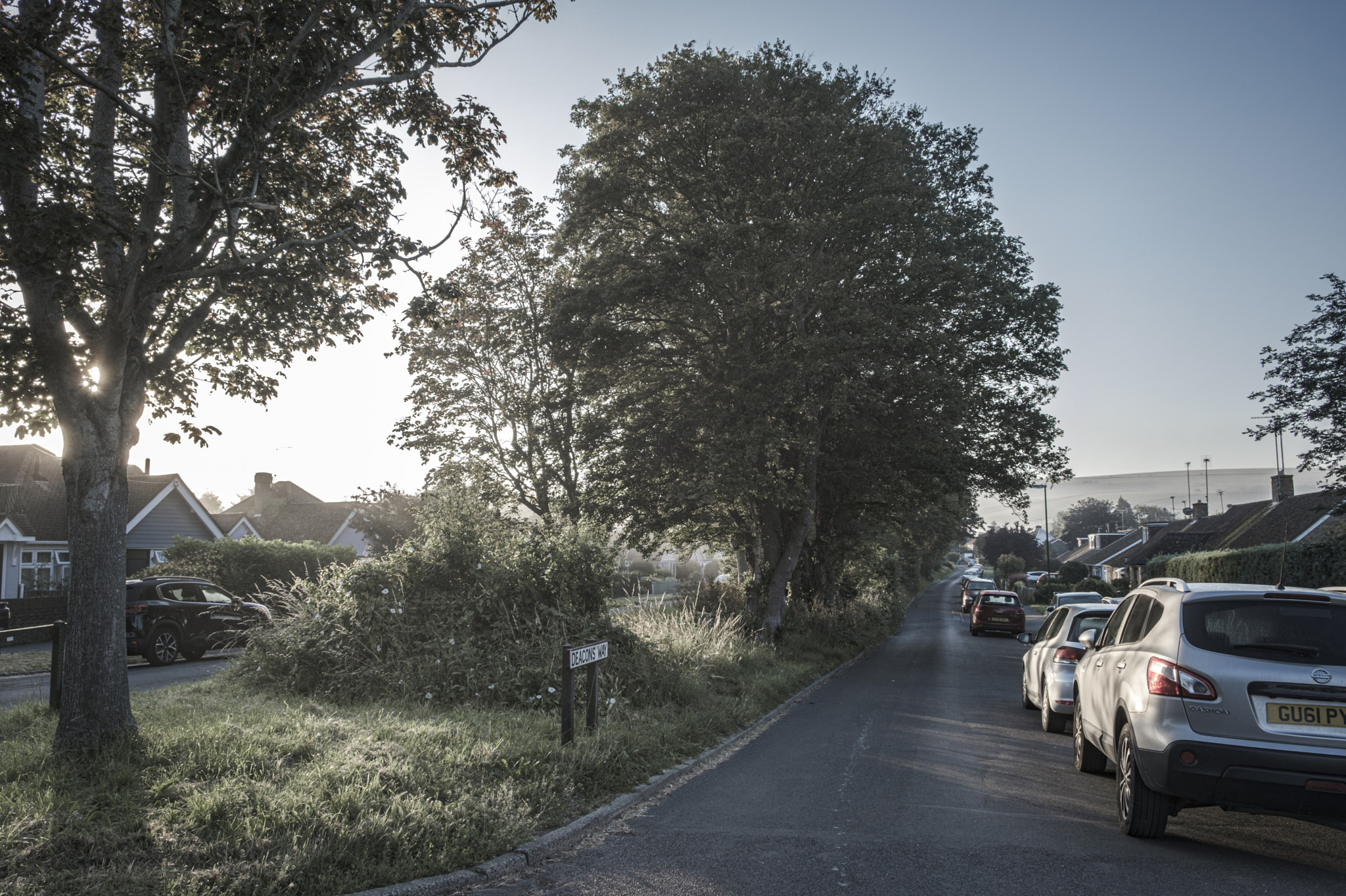 Sunny Morning Road