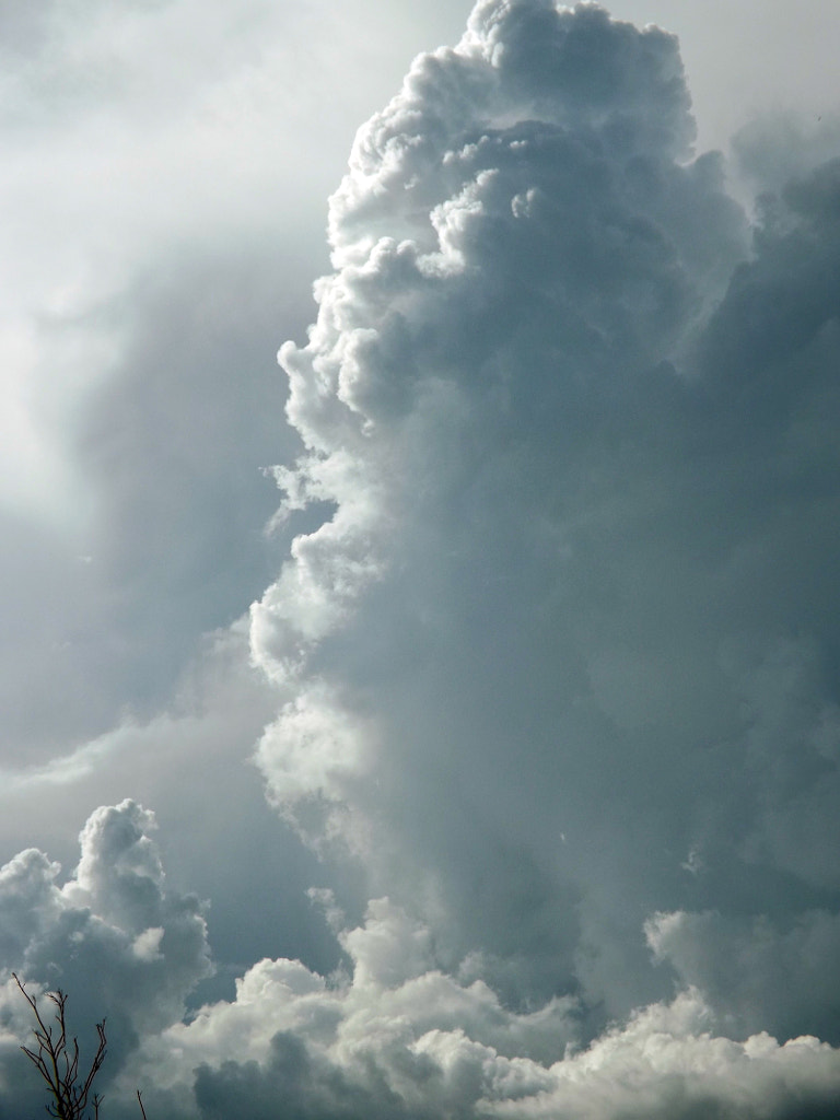 Cumulus congestus by Leandro Bermudes on 500px.com