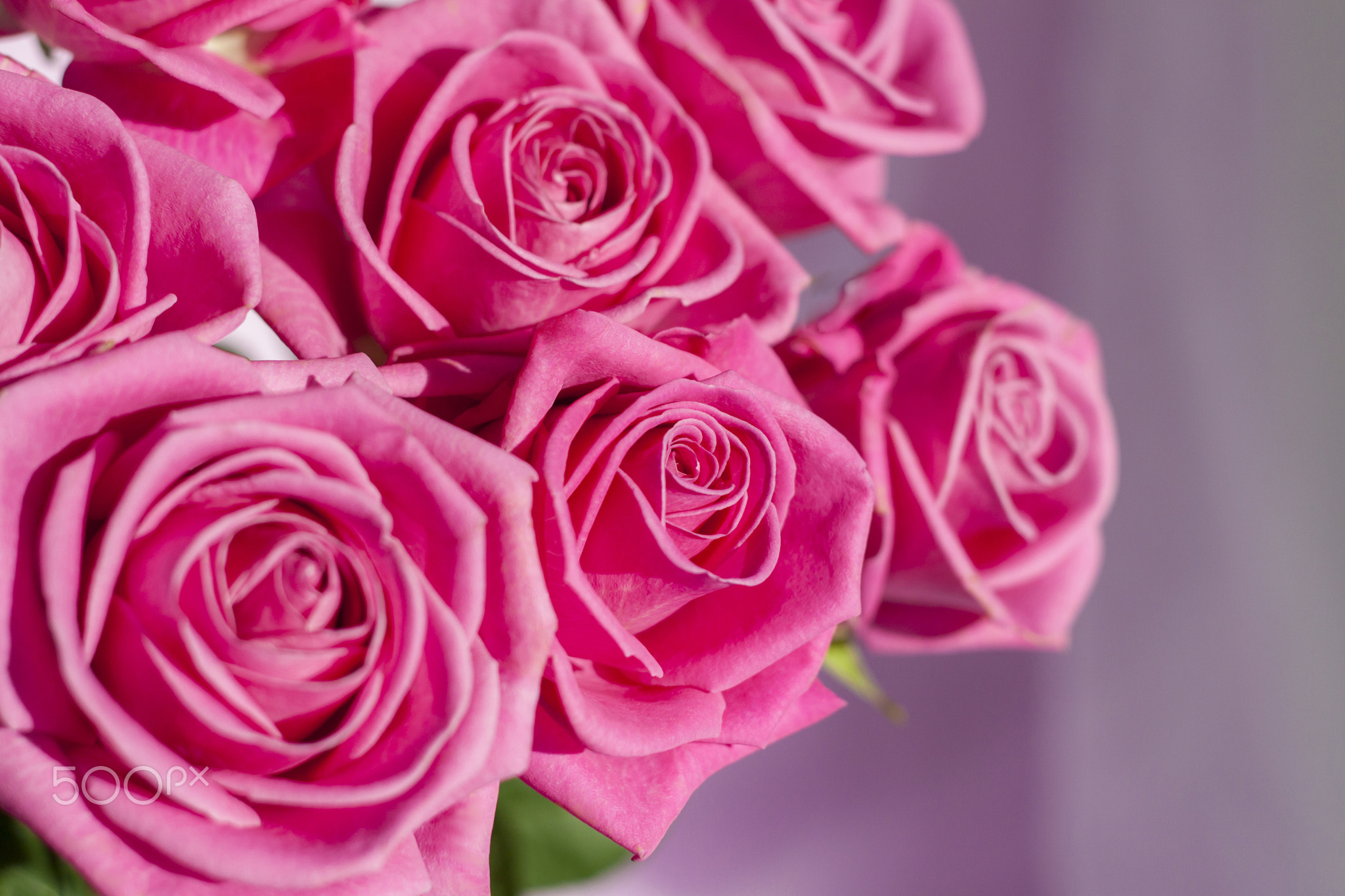 Composition with a bouquet of pink roses